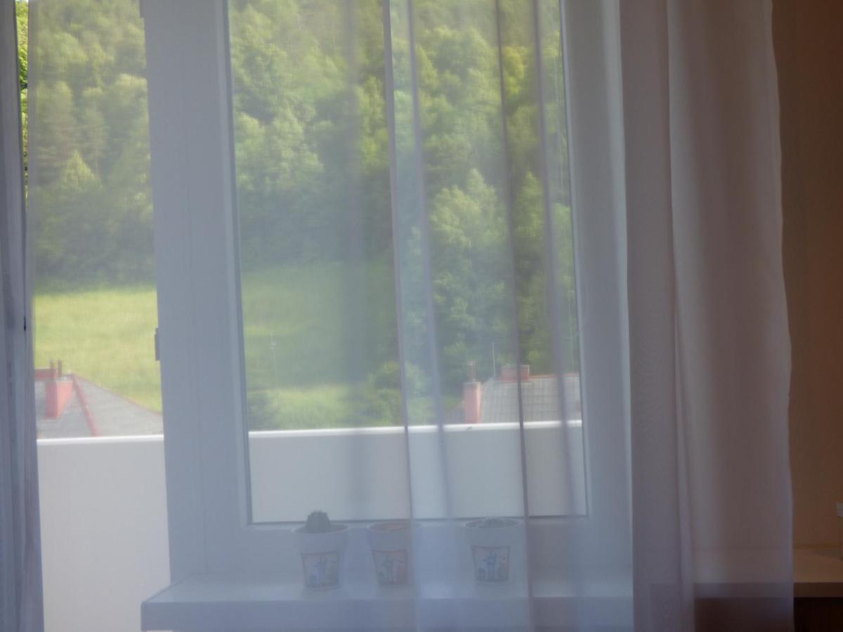 Apartman Dolinky Vyhne Exterior foto